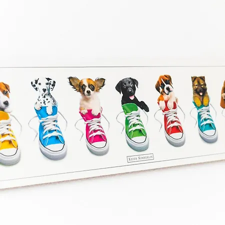 Moorgeist Vakantiehuis *